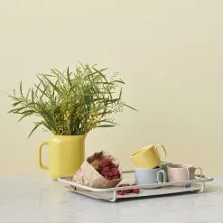 RIG TIG Bandeja De Servir CARRY-ON 30x47 Cm -Menaje de mesa Ventas 42897 01 02 bd983842b7