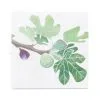 Klippan Yllefabrik 20 Servilletas Figs 1 Klippan Yllefabrik 20 Servilletas Figs -Menaje de mesa Ventas 502073 01 1 ProductImageMain f9c5e039d5