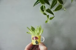 Arabia 6 Tazas Mumin Mini Tredje Classic -Menaje de mesa Ventas 504012 01 11 EnvironmentImage d791012fd8